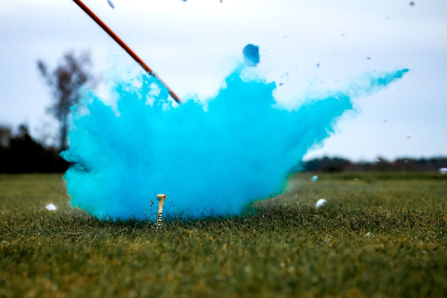 Partyunion Pink and Blue Exploding Powder Gender Reveal Golf Balls For Baby shower Party Supplies