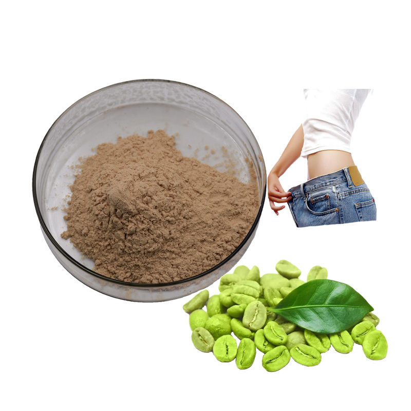 Coffee Bean Fruit Extract Green Coffee Bean Extract Uses for Weight Loss Chlorogenic Acids 50%