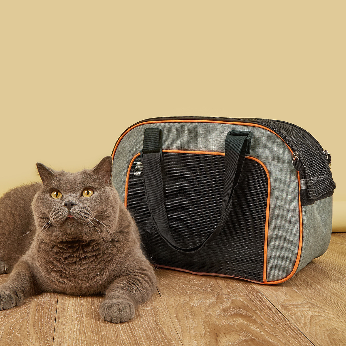 Qbellpet hot sale pet carrier Cat  Portable Pet Backpack Fashion Breathable Portable Shoulder outdoor backpack Bag