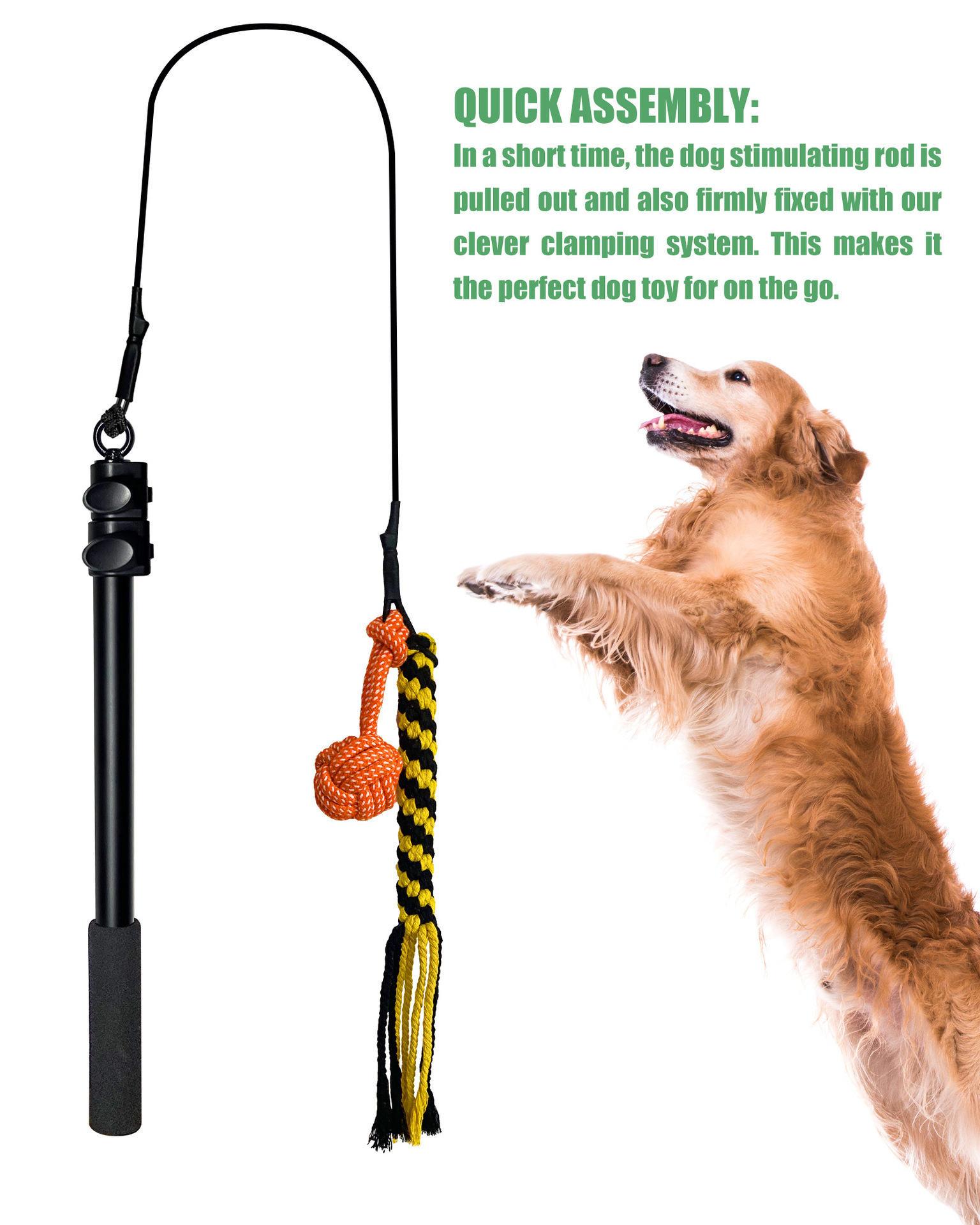 Qbellpet Dog accessories Dog Flirt Pole with Detachable Interactive Toys Extendable Teaser Wand Pet Flirt Stick Pole