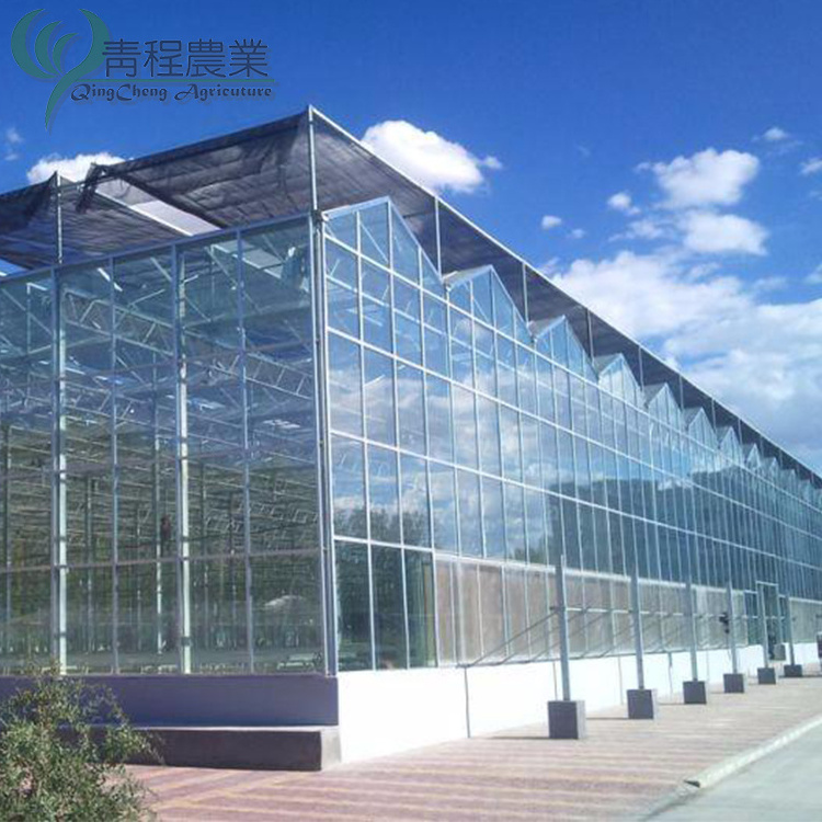 Greenhouses Commercial Agricultural Glass Transparent Glass Green House Deposit Glass Used Commercial Greenhouse for Sale