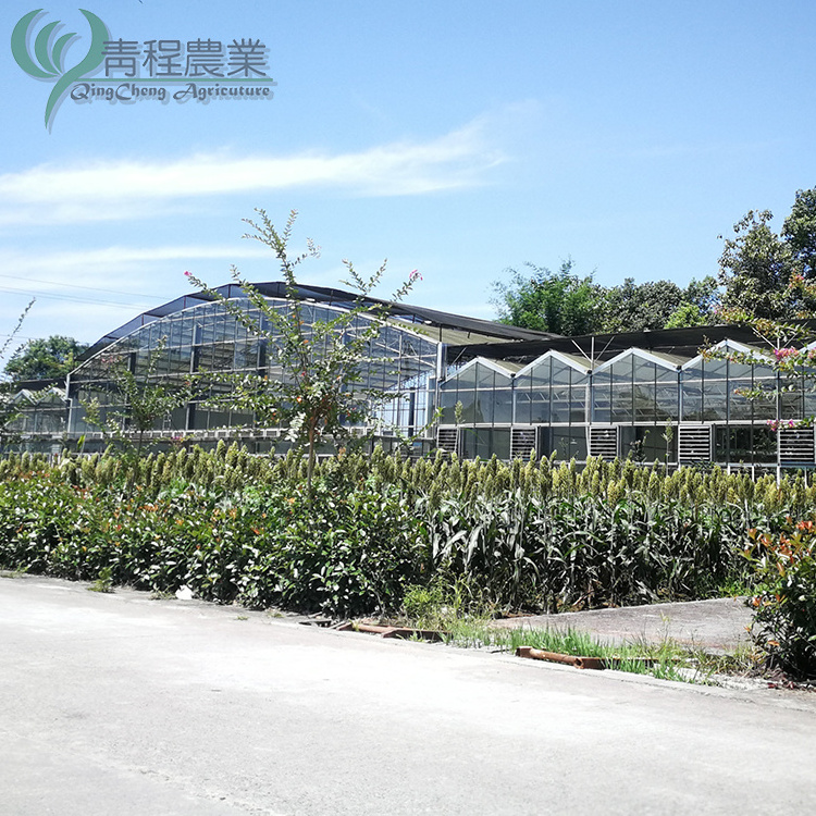 Greenhouses Commercial Agricultural Glass Transparent Glass Green House Deposit Glass Used Commercial Greenhouse for Sale