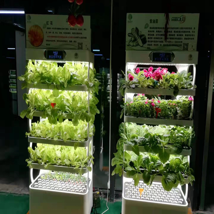 Newtype Home Garden Hydroponic Aeroponic Tower Home Hydroponic System For Leafy Vegetable Growing System