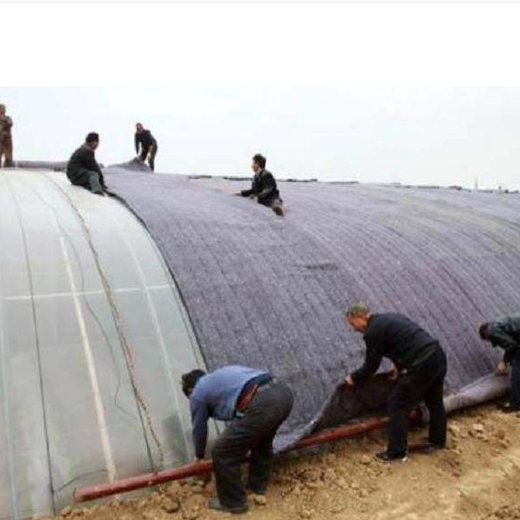 winter greenhouse blanket for cold weather