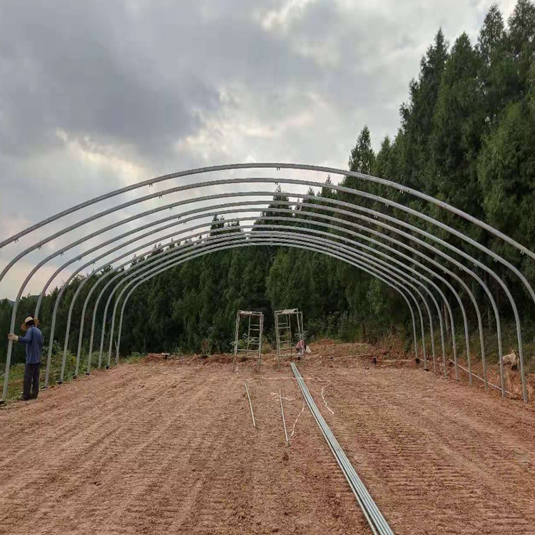 Turkey Multi Span Film Green House Greenhouse Structure Commercial Used Greenhouse Frames