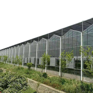 Greenhouses Commercial Agricultural Glass Transparent Glass Green House Deposit Glass Used Commercial Greenhouse for Sale