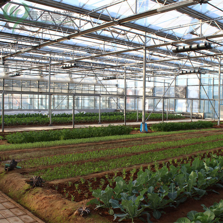 Greenhouses Commercial Agricultural Glass Transparent Glass Green House Deposit Glass Used Commercial Greenhouse for Sale