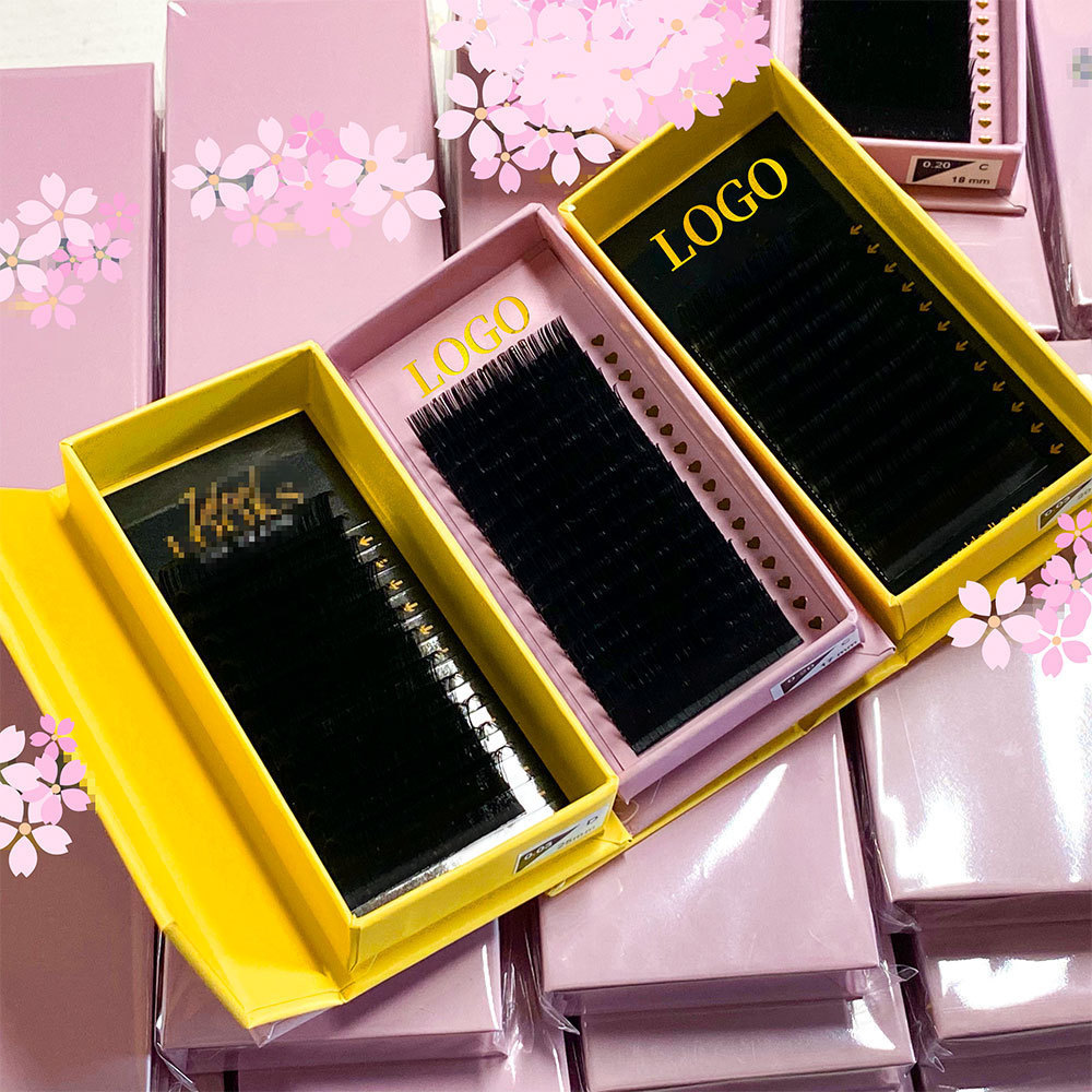 OEM/ODM Professional Private Logo 25mm Mink And Silk Individual Eyelash Extension Training Kit With Glue las supplies lash trays