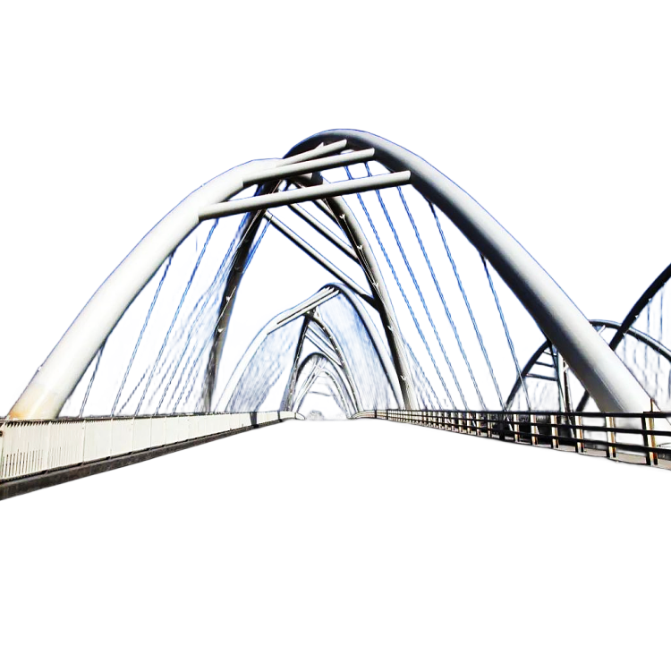 Professional Manufacturer Of Low-cost Prefabricated Building Steel Structure Bridge/pedestrian Bridge