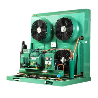 10 Ton Emerson Compressor Condensing Unit Air-Cooled Refrigeration Unit for Cold Room Blast Freezer Made in China Restaurants