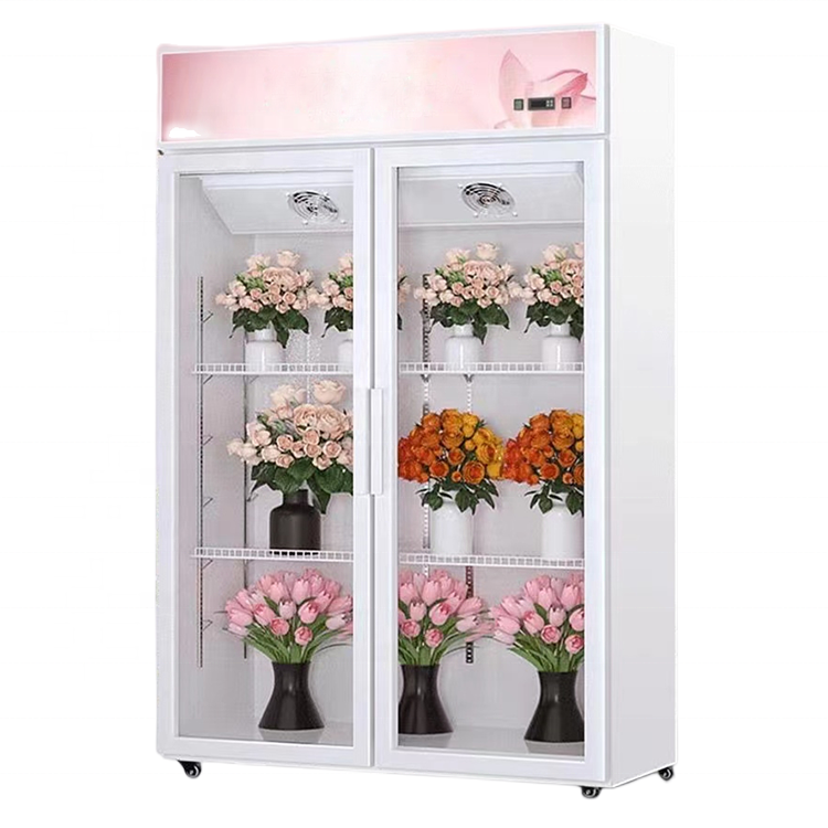 New Style Glass Door Fan Cooling Used Fresh Flower Cooler