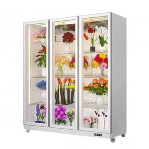 New Style Glass Door Fan Cooling Used Fresh Flower Cooler