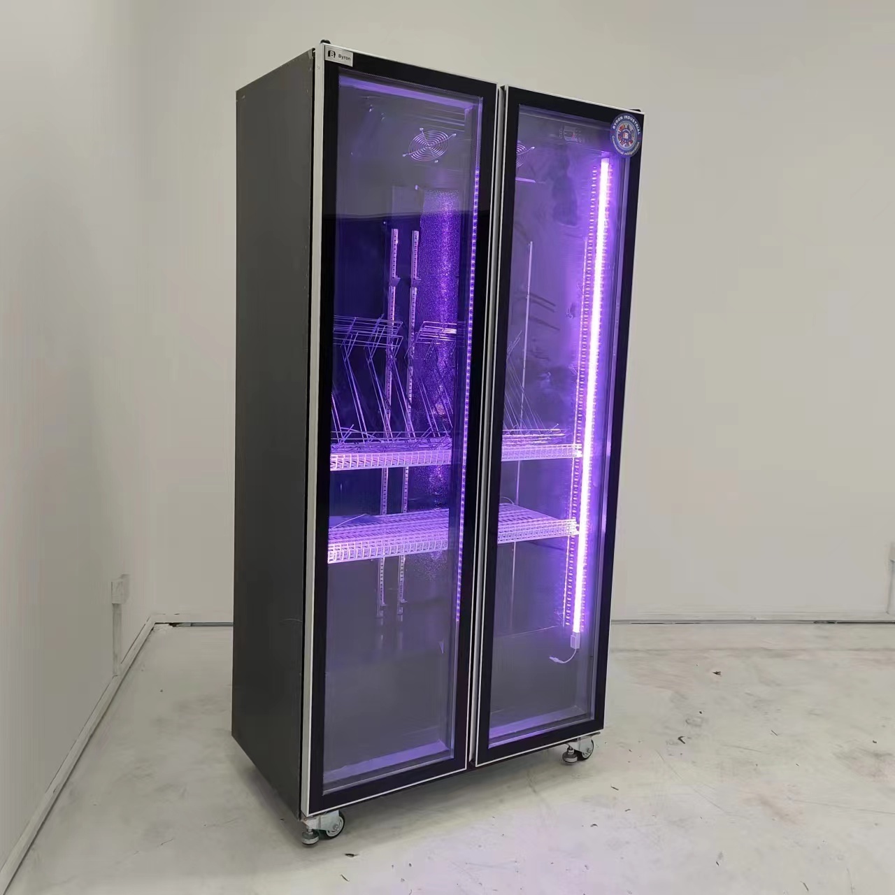 Commercial freezer showcase pepsi Display Refrigerator upright display fridge for supermarket hotel  juice display chiller