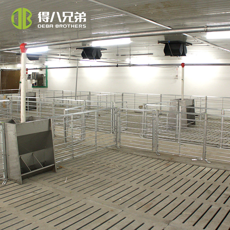 Pig farm equipment galvanized calf fatten finish pen stall