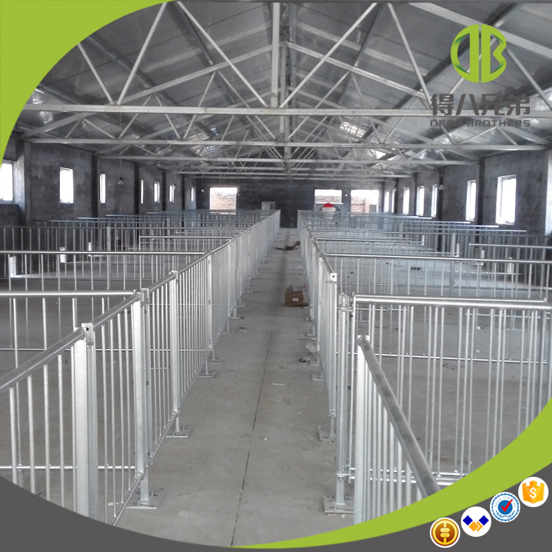 Hot Galvanized Popular Finishing Crates Fatten Pen Pig Breeding Farms