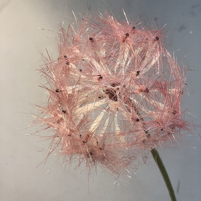 H-124 Nordic simple dandelion home birthday party decorative handmade artificial flowers for interior decor wedding decoration