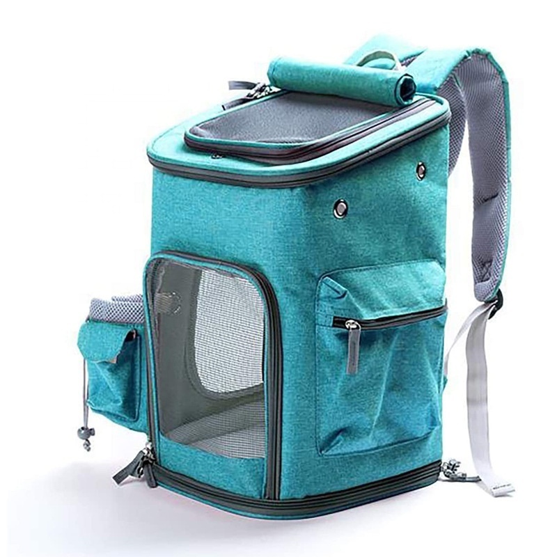 Hot Selling Fashion Transparent Mesh Breathable Small Dog Cat Pet Carrier Backpack Bag