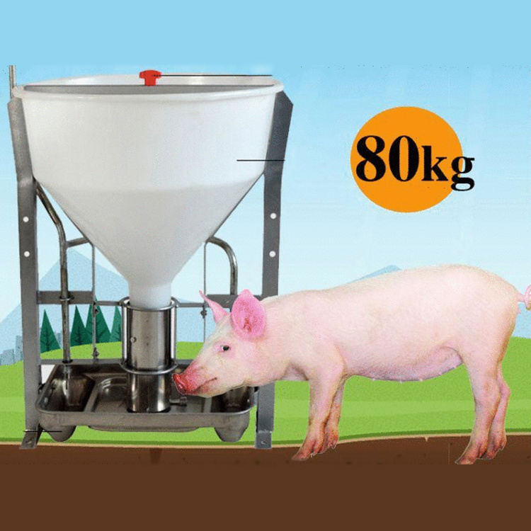 new design automatic hog pig dry wet feeder equipment