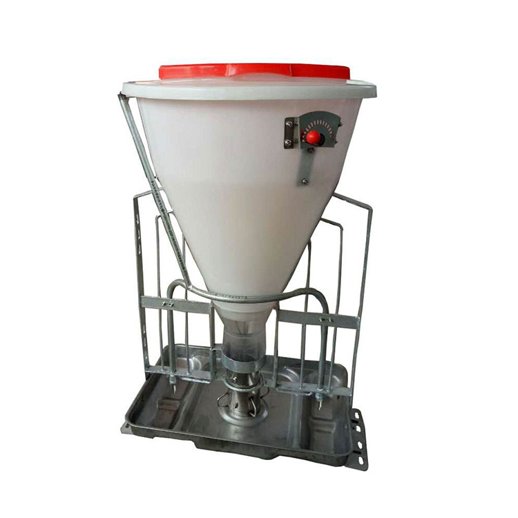 new design automatic hog pig dry wet feeder equipment