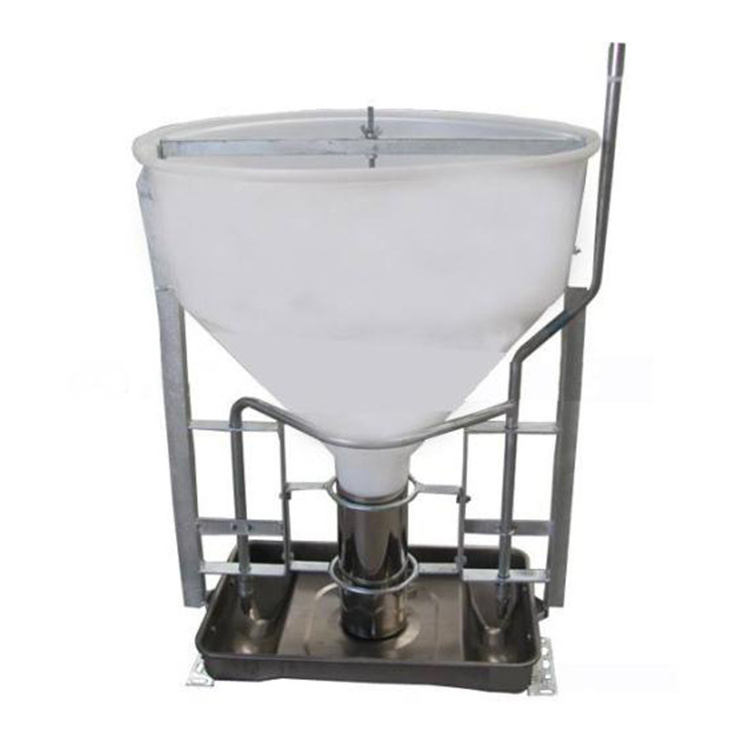 new design automatic hog pig dry wet feeder equipment