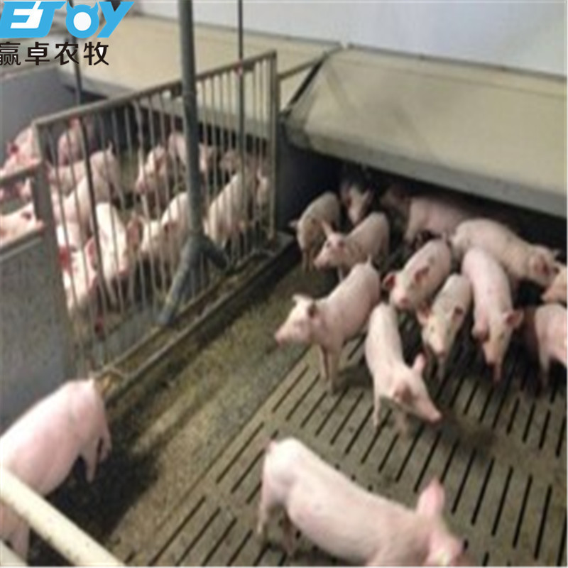 new design pig fatten crate for pig feeding equipment