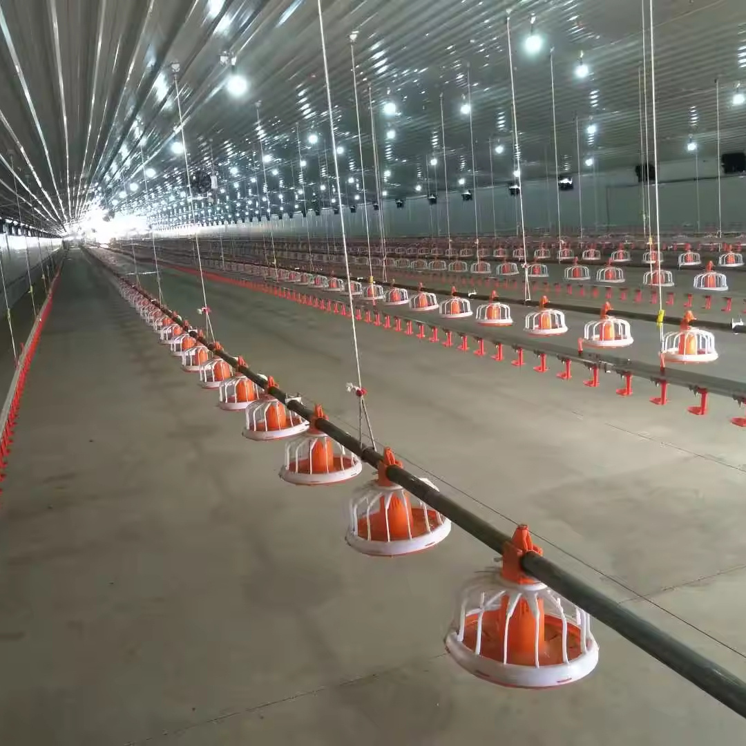 Fully Automatic Commercial Broiler Farming System Shed Equipment