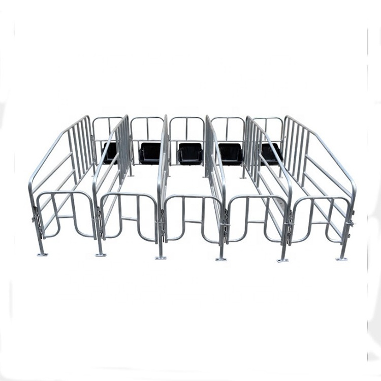 hot galvanized pig gestation crate stall pen sow stall