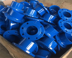 Ductile Cast iron pipe Fitting Flange spigot of sample