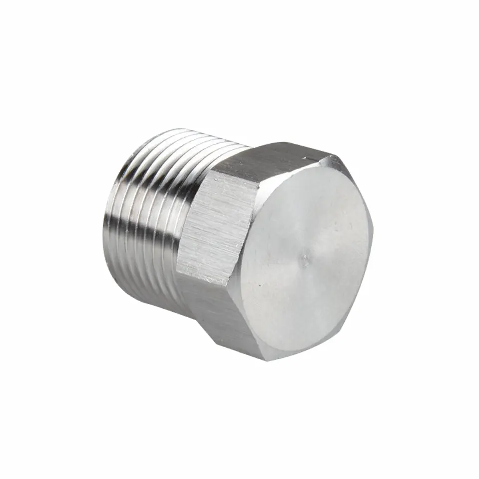 Stainless Steel Pipe Fittings 1/4 3/8 1/2 1 inch NPT BSPT Male Threaded Hex Head Pipe Plug