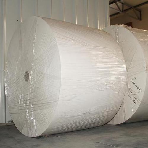 70gsm 75gsm 80gsm Copy Paper Jumbo Roll for office Paper A4 paper 80gsm