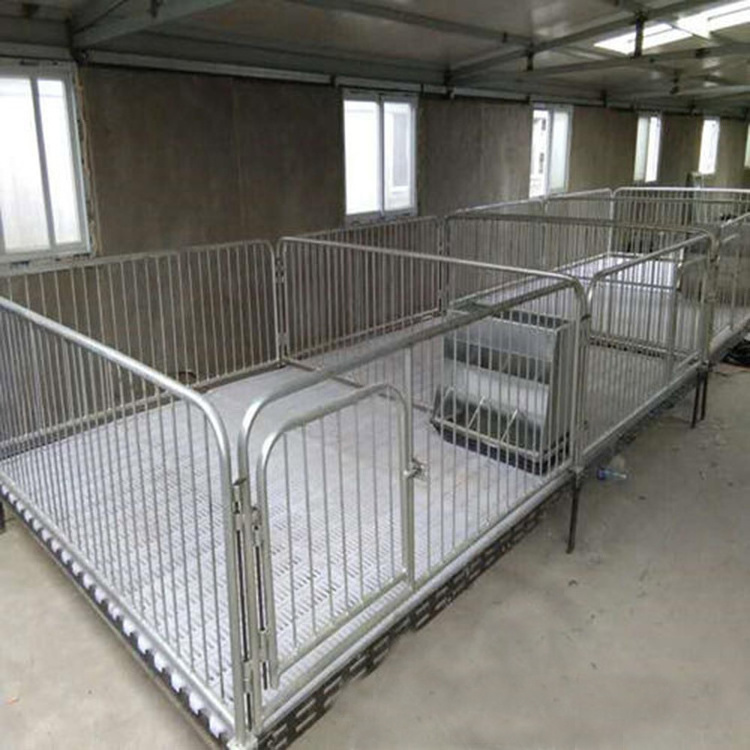 Farrowing Crate Steel Structure Modern Farm Pig Huose Shed  Hogcote Swinery Pigsty