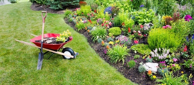 Heavy duty two wheel barrow with steel frame plastic tray double wheelbarrow