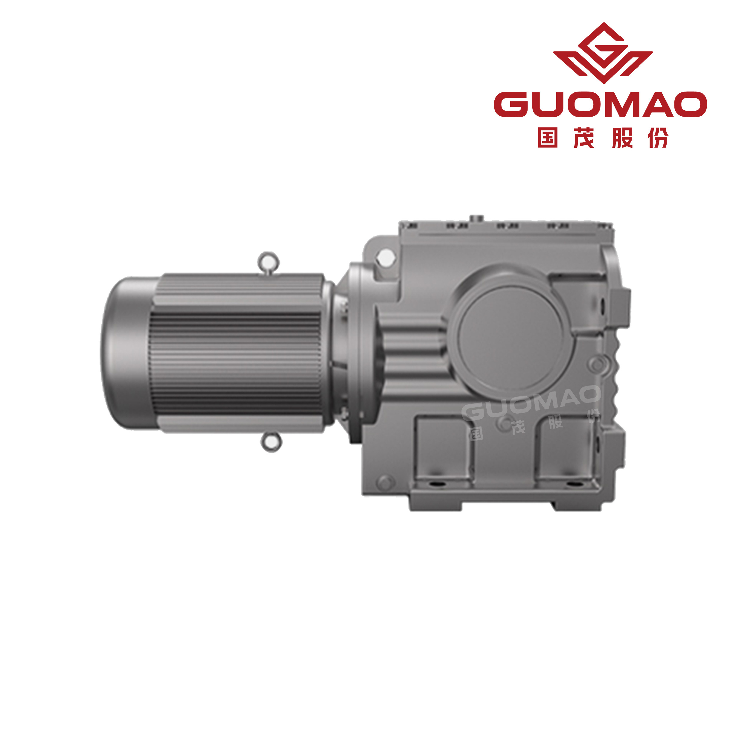 GS Series Nmrv Nrv Worm Reduction Speed Motor Gear Reducer Forward Reverse Gear Box