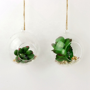 Clear Air Plant Hydroponic Plants Succulent Plantl Hanging Glass Ball Terrarium with A Hole