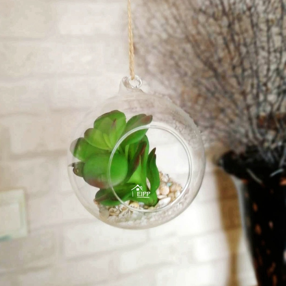 Clear Air Plant Hydroponic Plants Succulent Plantl Hanging Glass Ball Terrarium with A Hole