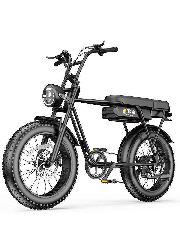 Electric Bike 2019 Top Trending 500w Electric Bike Folding Ebike Chinese Supplier