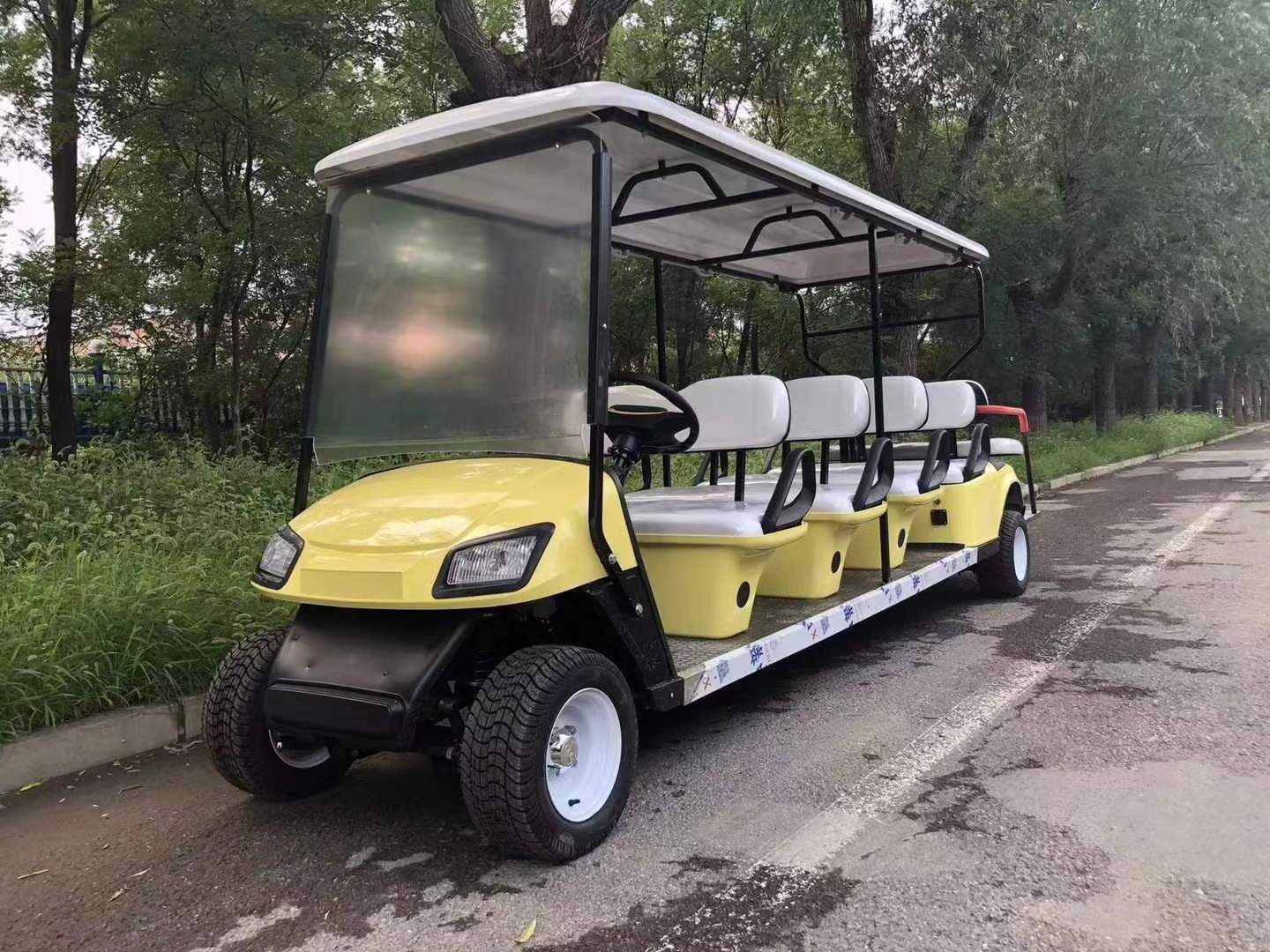 China electric golf cart for 10 seat type