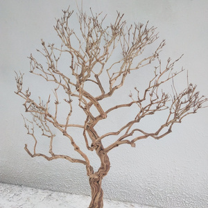 H-333 White dry branches root modeling tree artificial branches decorative tree interior decoration