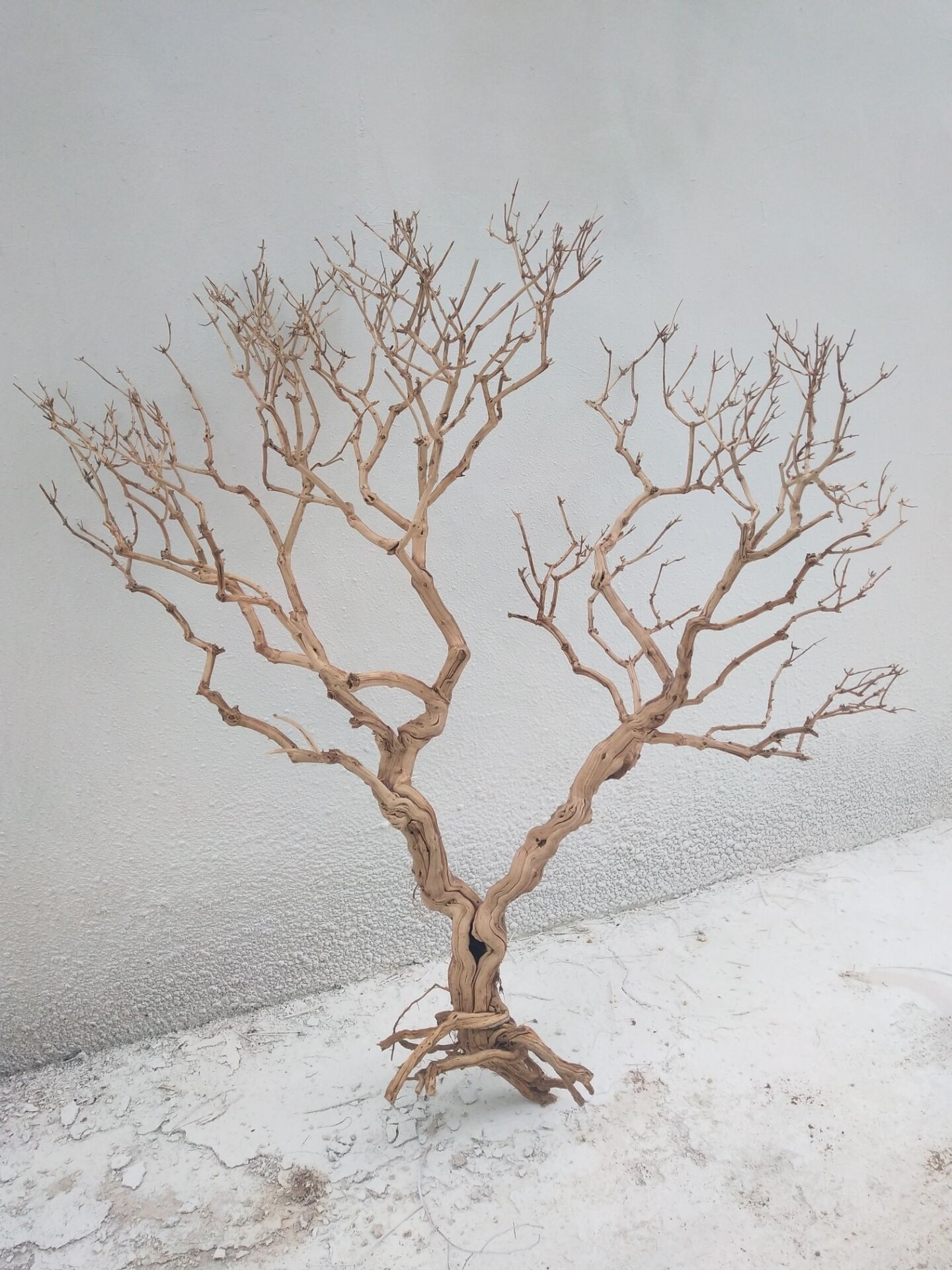 H-333 White dry branches root modeling tree artificial branches decorative tree interior decoration