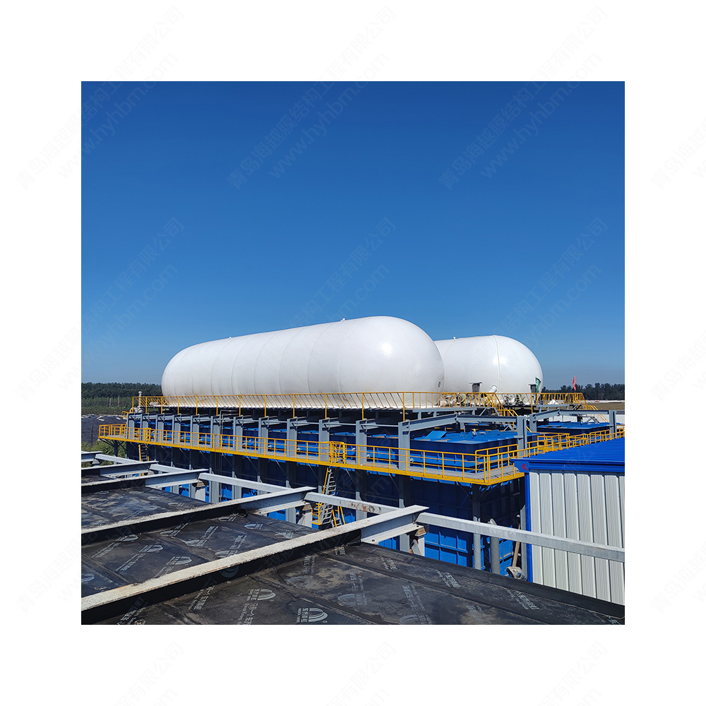 HaiYue Professional Biogas Factory Double Membrane Storage Holder Biogas Storage Balloon for Biogas Fermenter Industrial