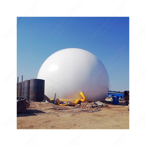 Long Lifetime Biogas Storage Tank Anaerobic Tank Biomass Biogas Balloon And Biogas Digester