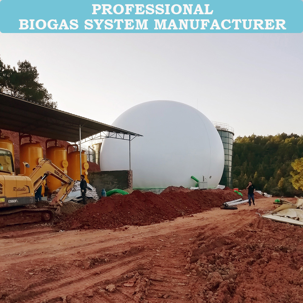 Qingdao HaiYue Biogas Factory Double membrane biogas storage balloon for biogas plant