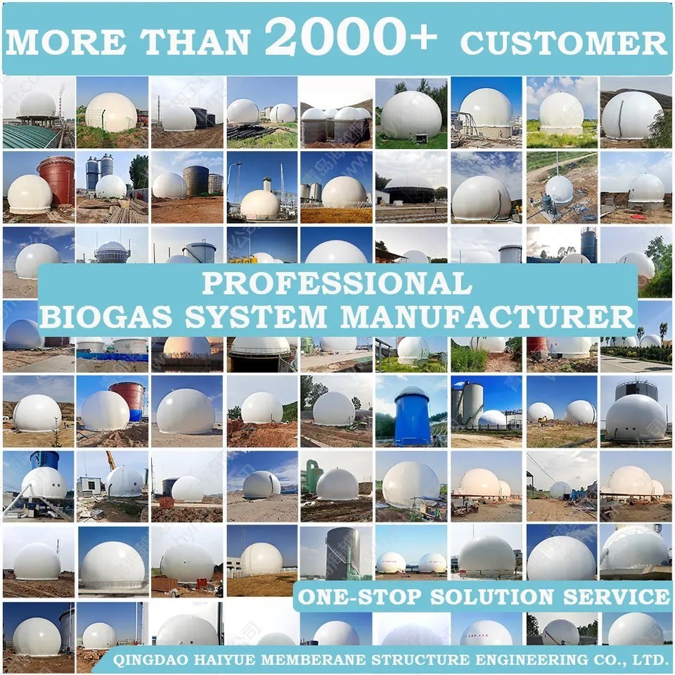 HaiYue Factory Automatic Controlled Membrane Biogas Storage Tank/Biogas Balloon