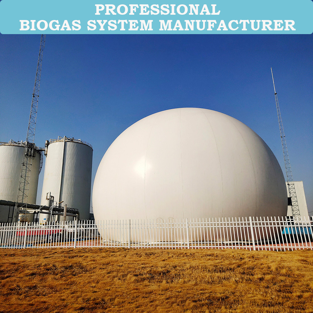 Qingdao HaiYue Biogas Factory Double membrane biogas storage balloon for biogas plant