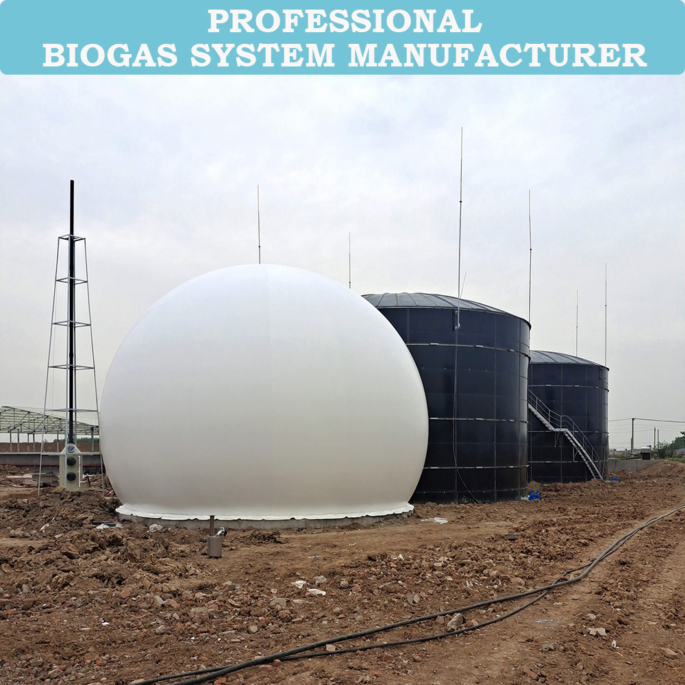 Qingdao HaiYue Biogas Factory Double membrane biogas storage balloon for biogas plant