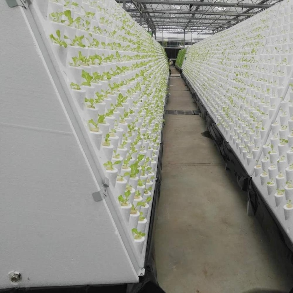 Commercial Agricultural Multi-Span Drip Irrigation Hydroponic Growing System/ Steel Structure  Glass Greenhouse for Vegetables