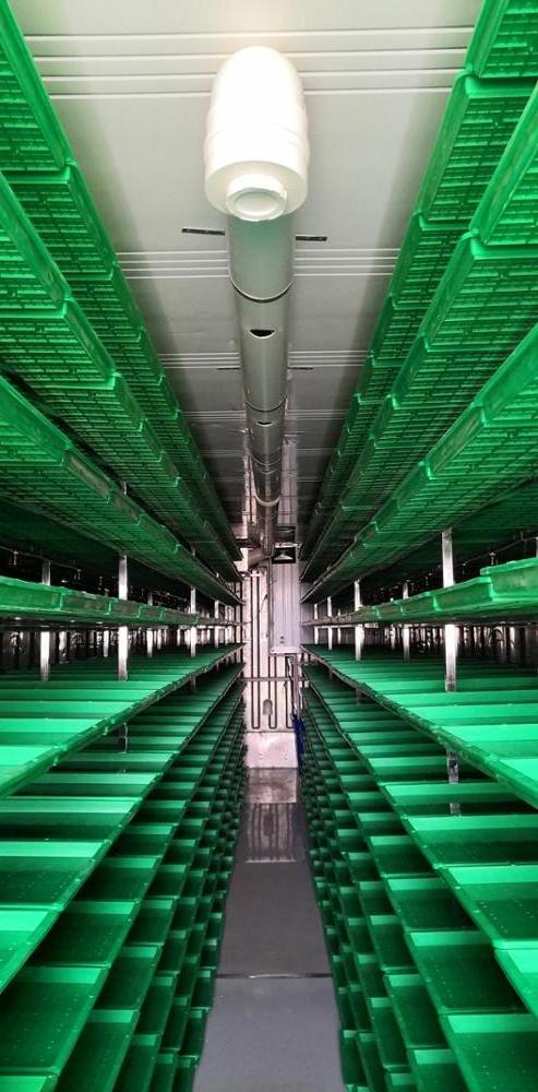 Hot Selling 40HQ Container Automatic Hydroponic Green Fodder Machine  System Barley Breeding Machine