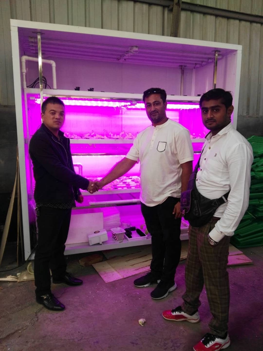 Shipping Container Farmer Hydroponic Growth system for vegetables