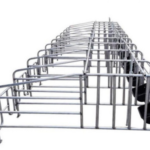 China Supplier cheap price pig corral Galvanized farrowing stall for pig husbandry equipment pig cage fence fattening pens