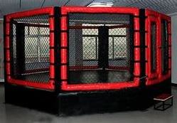 factory cheap price international standard high quality MMA cage used boxing ring for sale